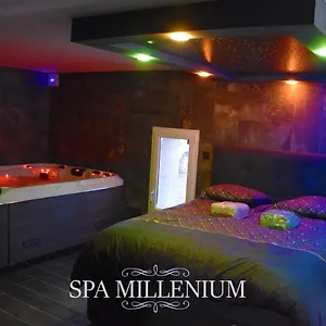 spa-millnium.hotels-rhonealpes.com/